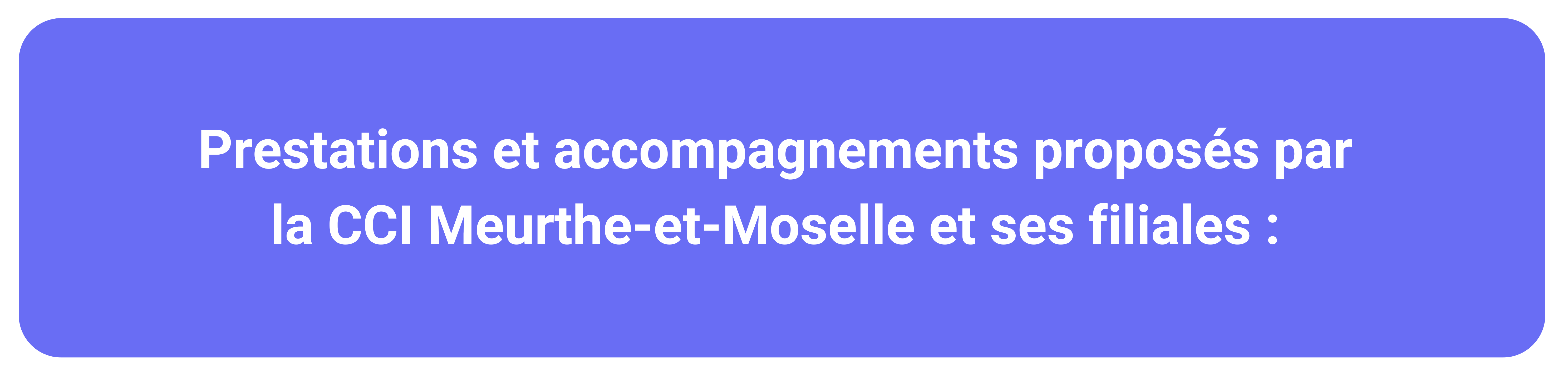 Prestations et accompagnements proposées par la CCI Meurthe-et-Moselle et ses filiales